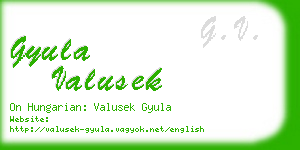 gyula valusek business card